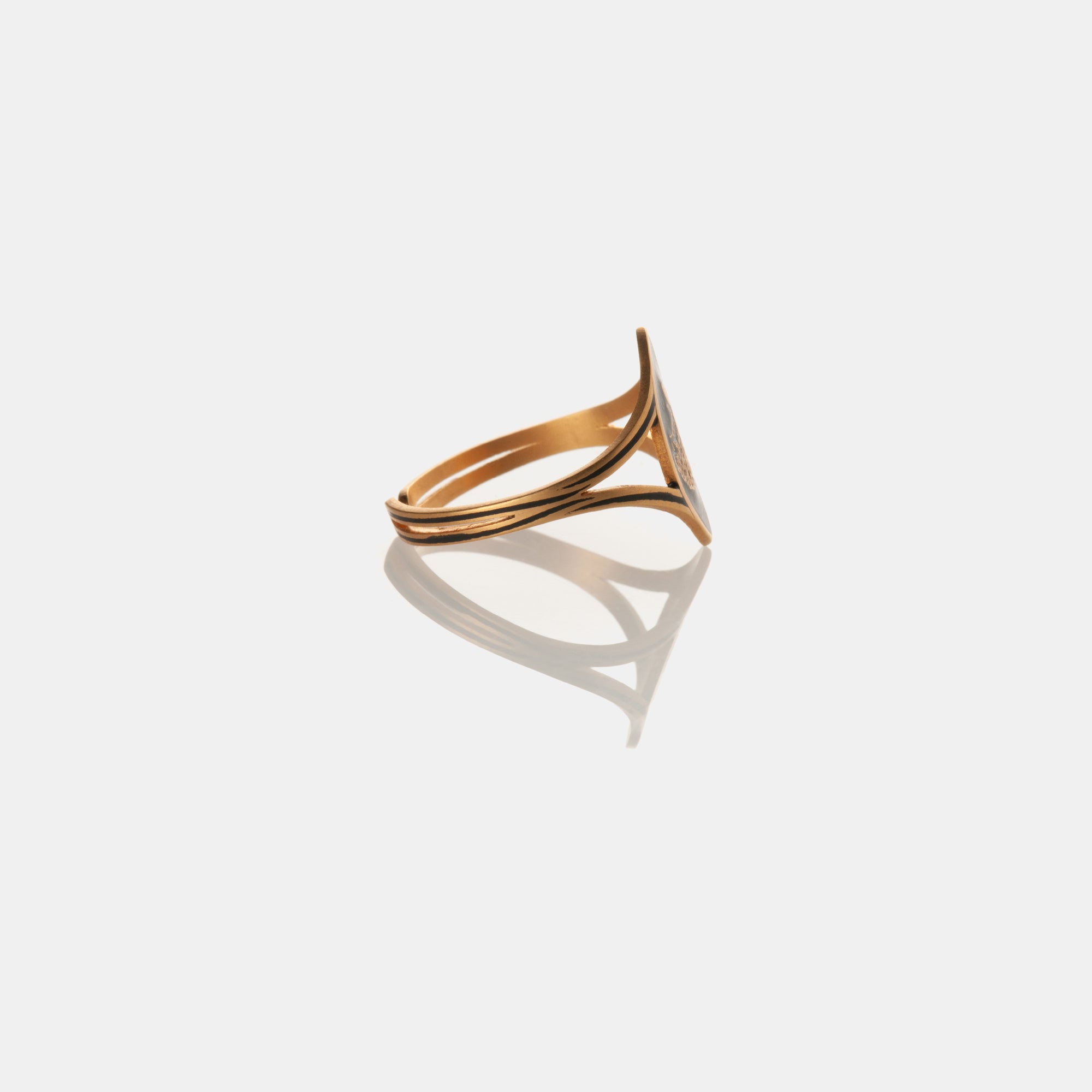 Carpa Anello